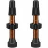 Wtb Válvula Tubeless TCS Aluminium Presta